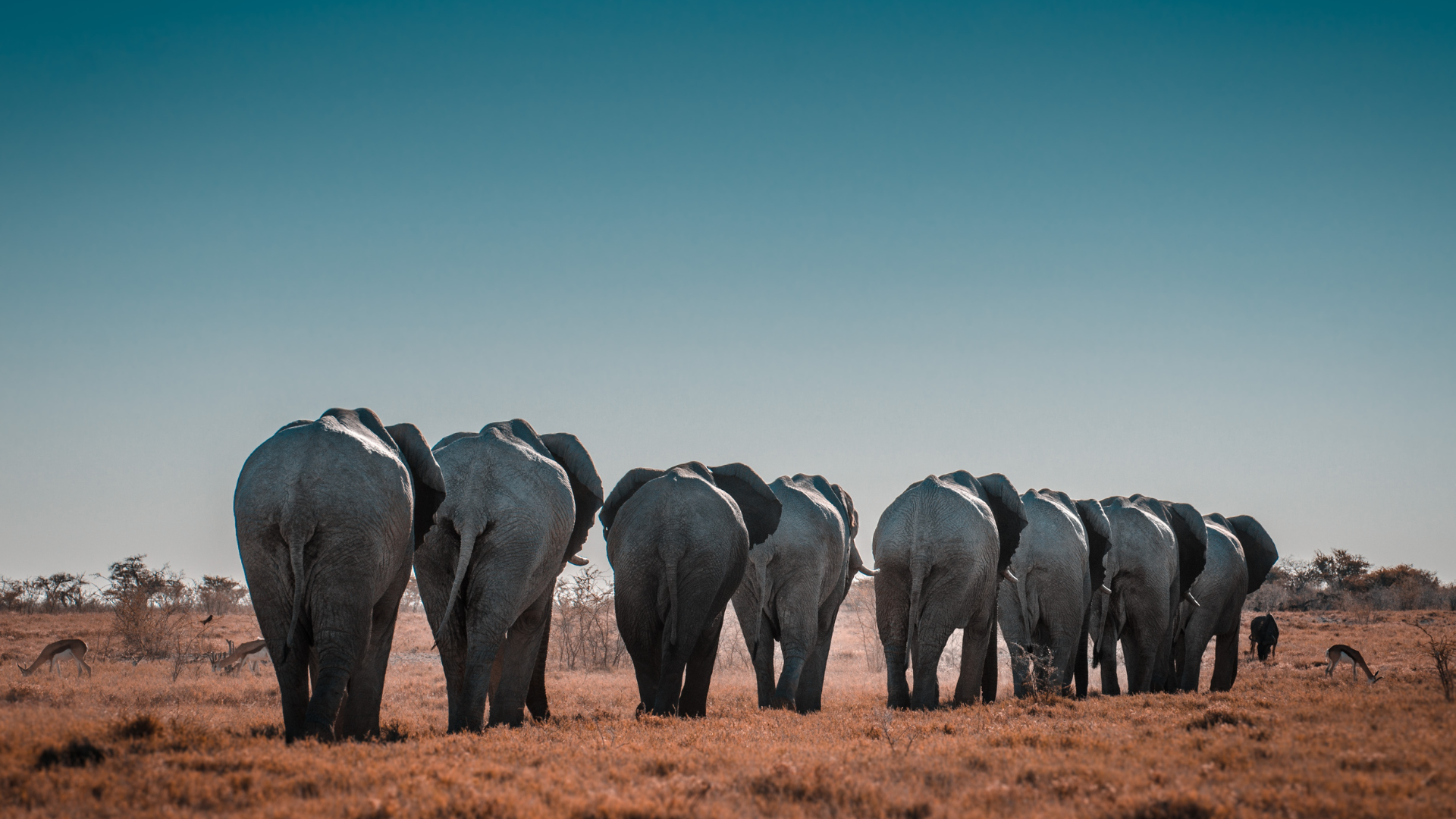 Namibia