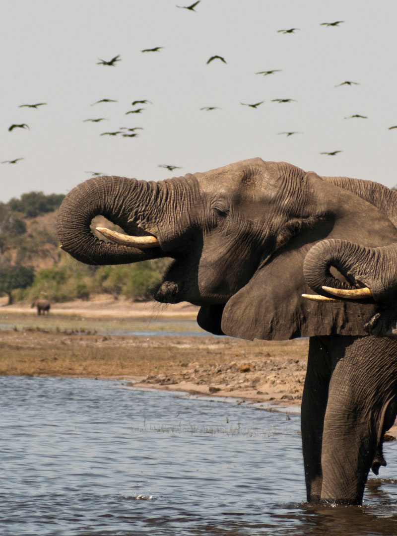 Botswana