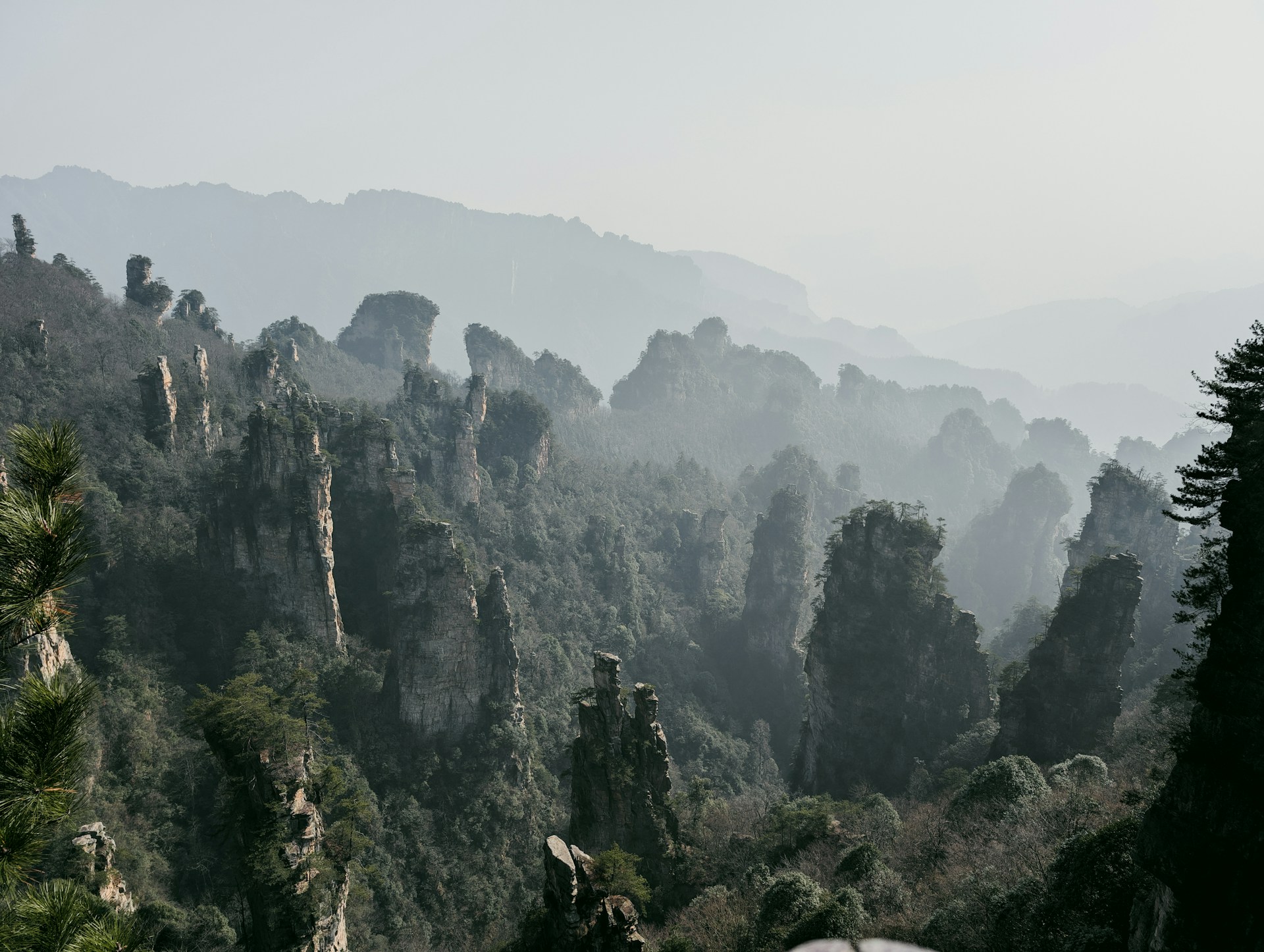 Cina