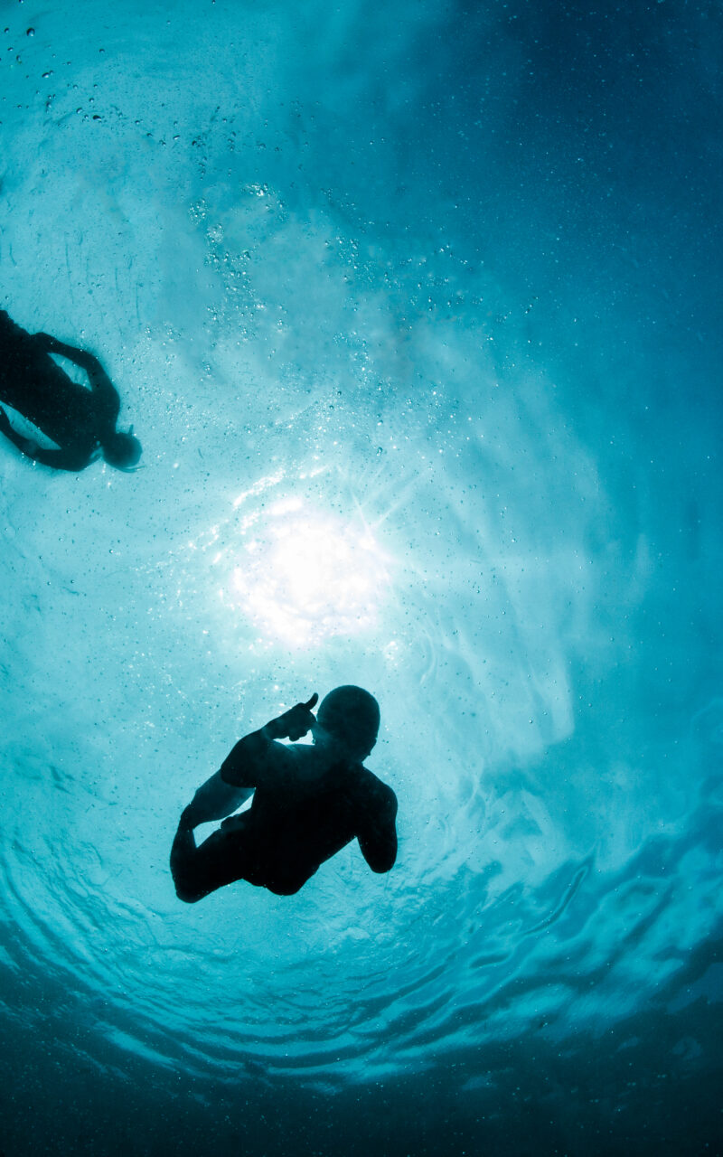 Yoga & Freediving