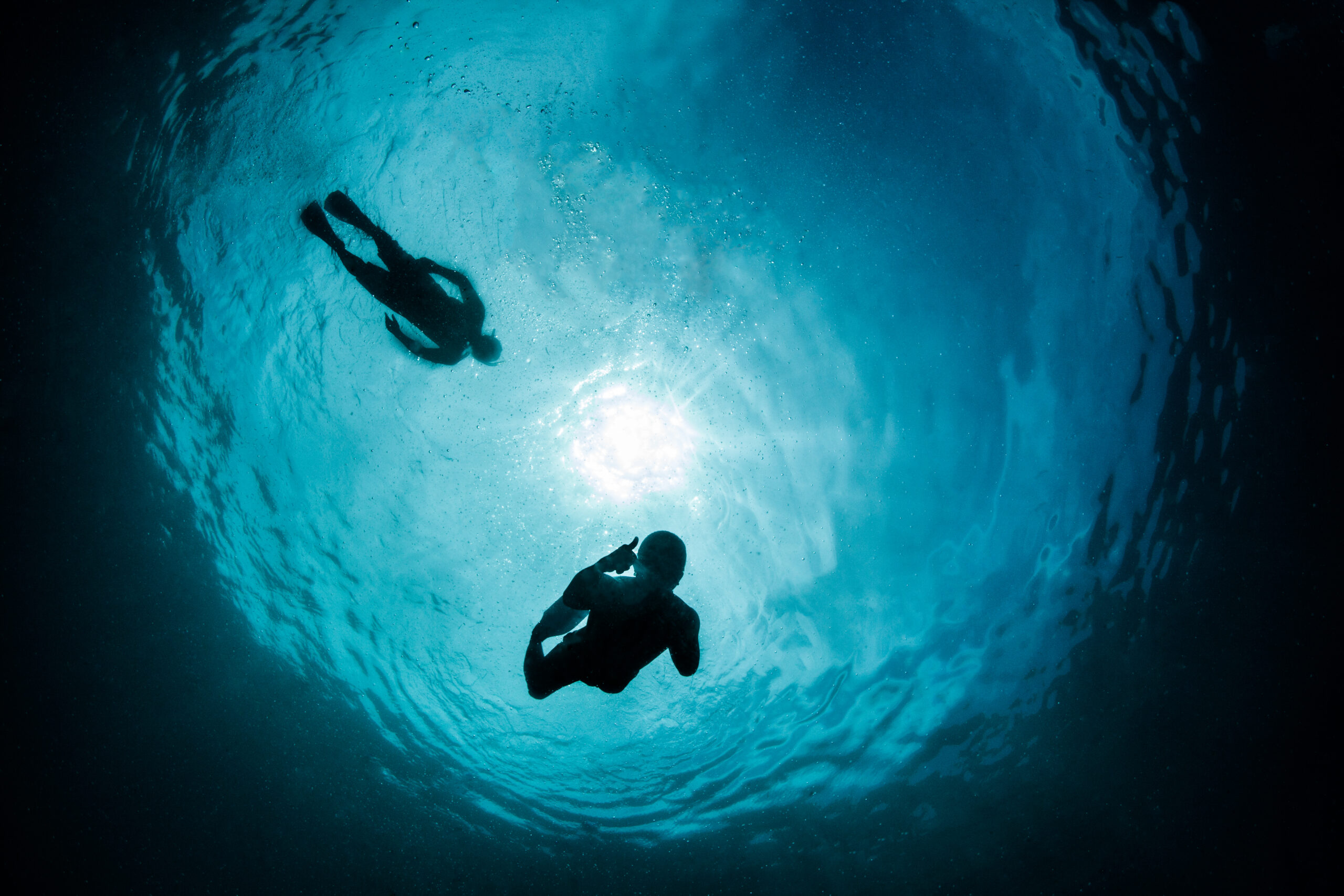 Yoga & Freediving